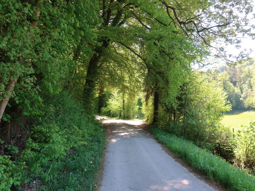 Untere Hafenstrasse