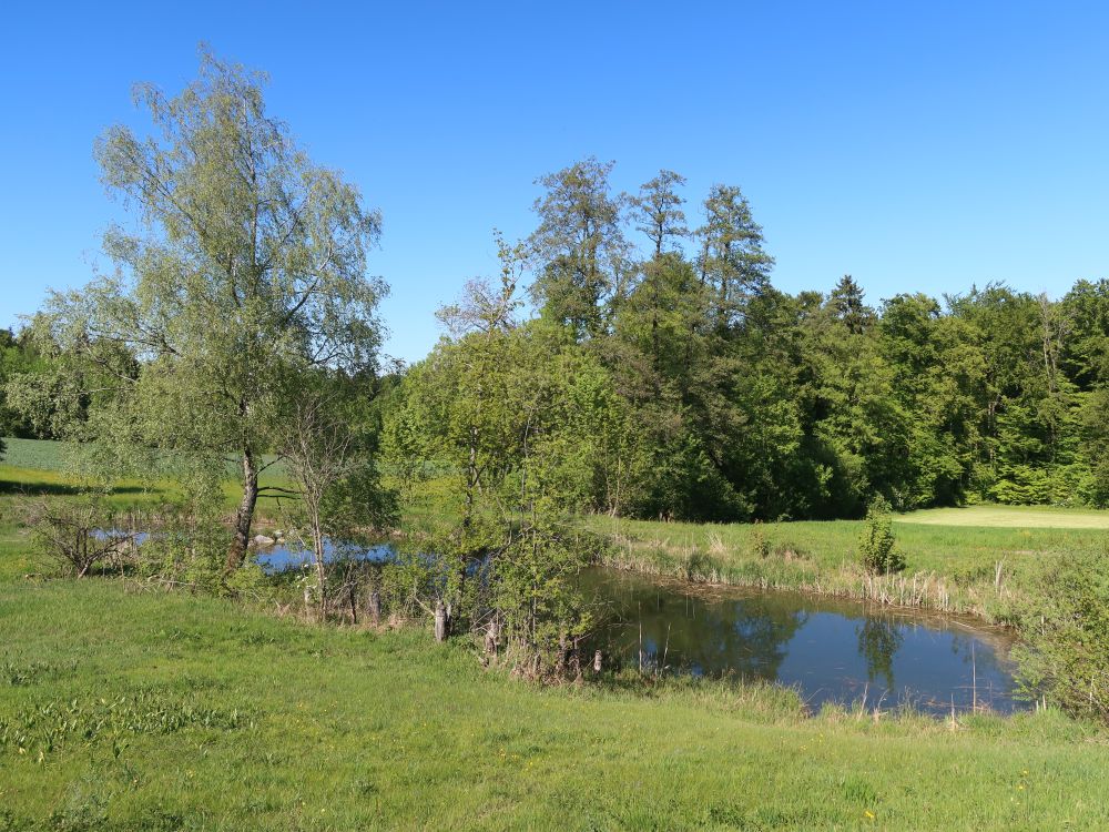 Teich am Neubruchweg