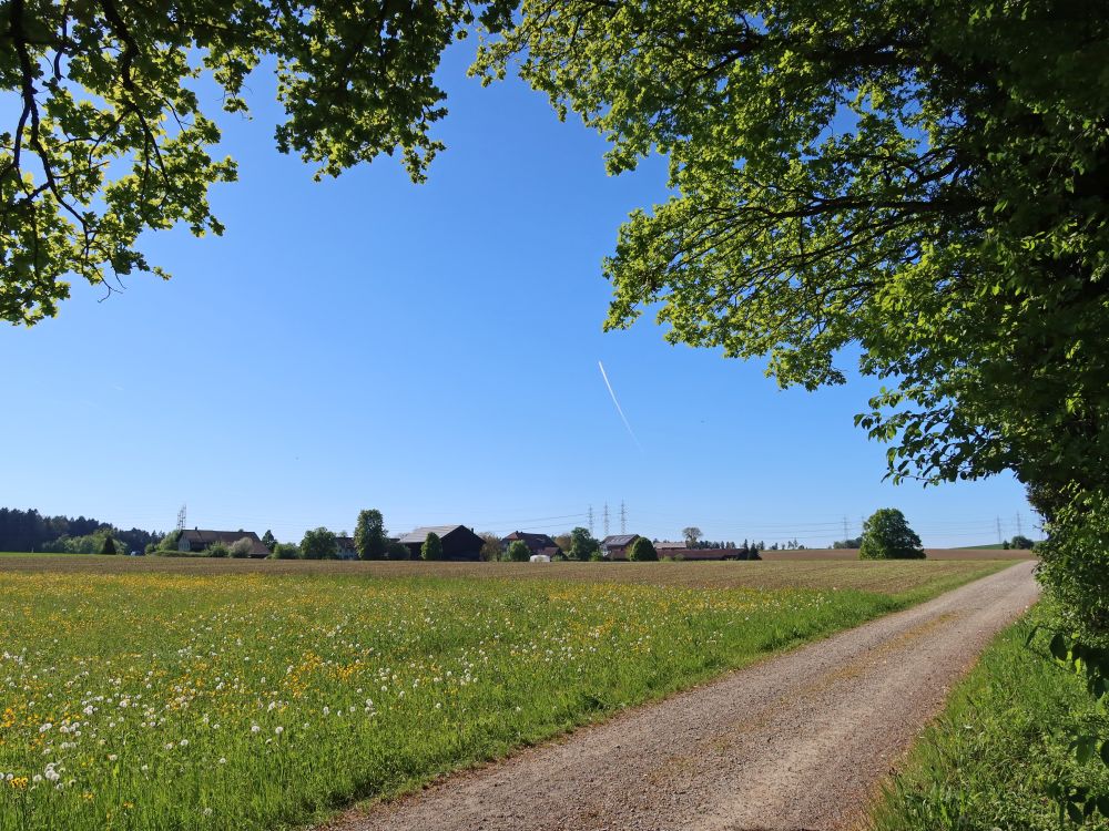 Blick Richtung Eich