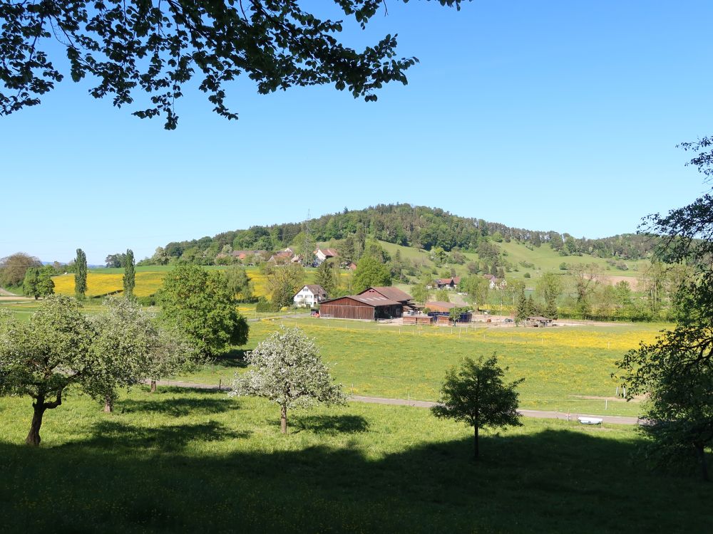 Blick Richtung Hoch Wülflingen