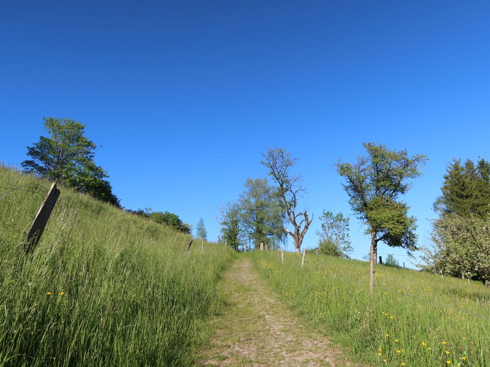 Schweikhofweg
