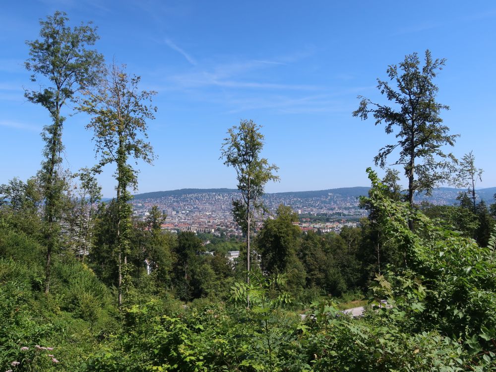 Blick Richtung Zürich