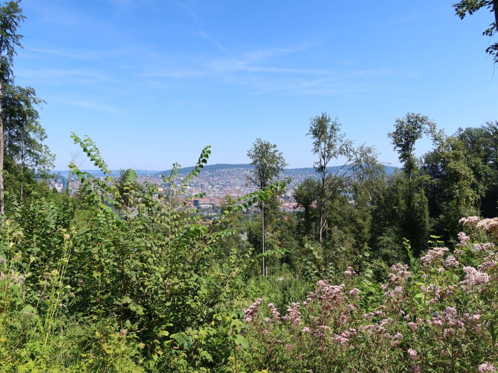 Blick Richtung Zürich