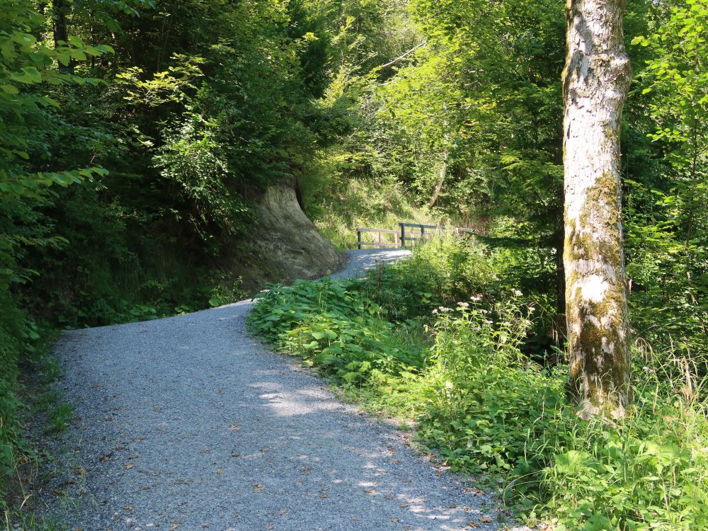 Hohensteinweg