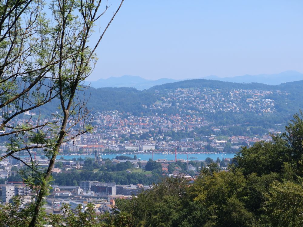 Zürich am Zürichsee