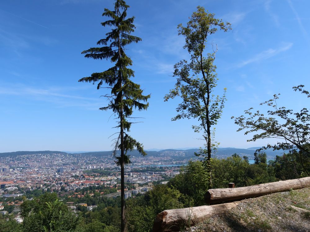 Blick Richtung Zürich