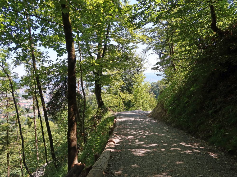 Hohensteinweg