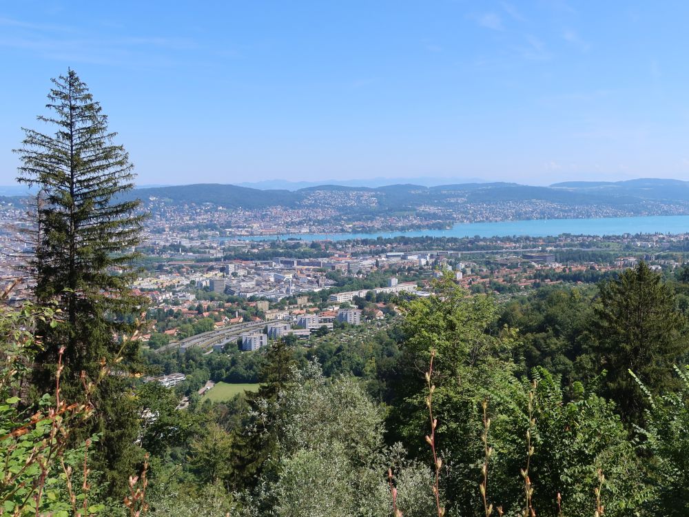 Zürich am Zürichsee