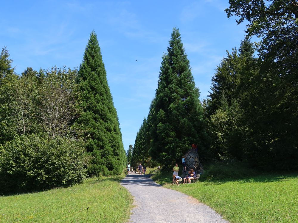 Schwendenholzweg Mamutbaum-Allee