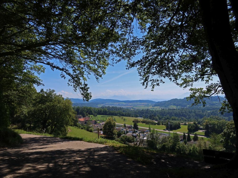 Uitikon mit Rigi und Pilatus im Dunst