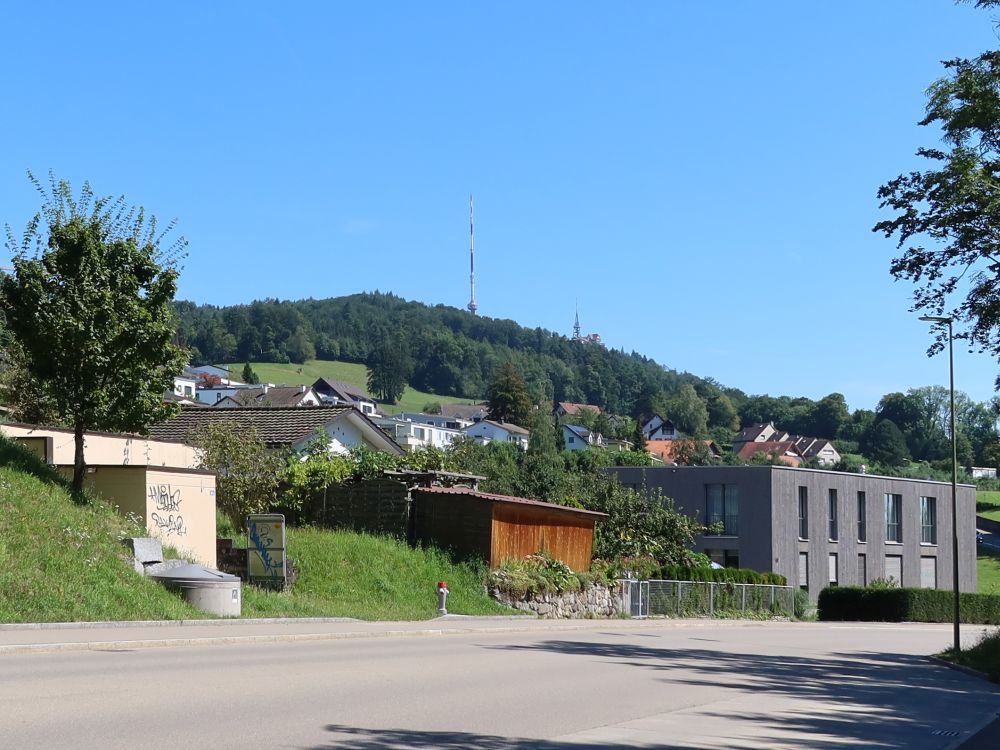 Ringlikon unterm Uetliberg