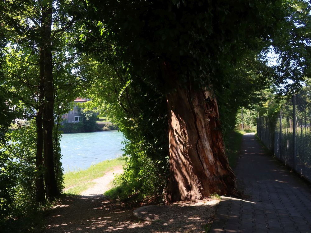 Limmatuferweg