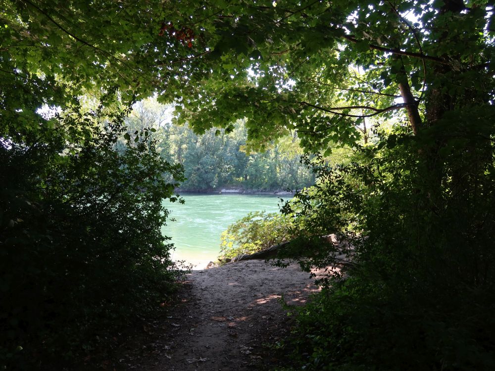 Aareufer