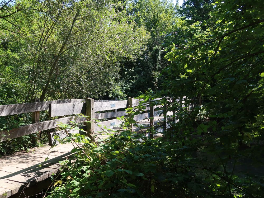 Auschachen Steg