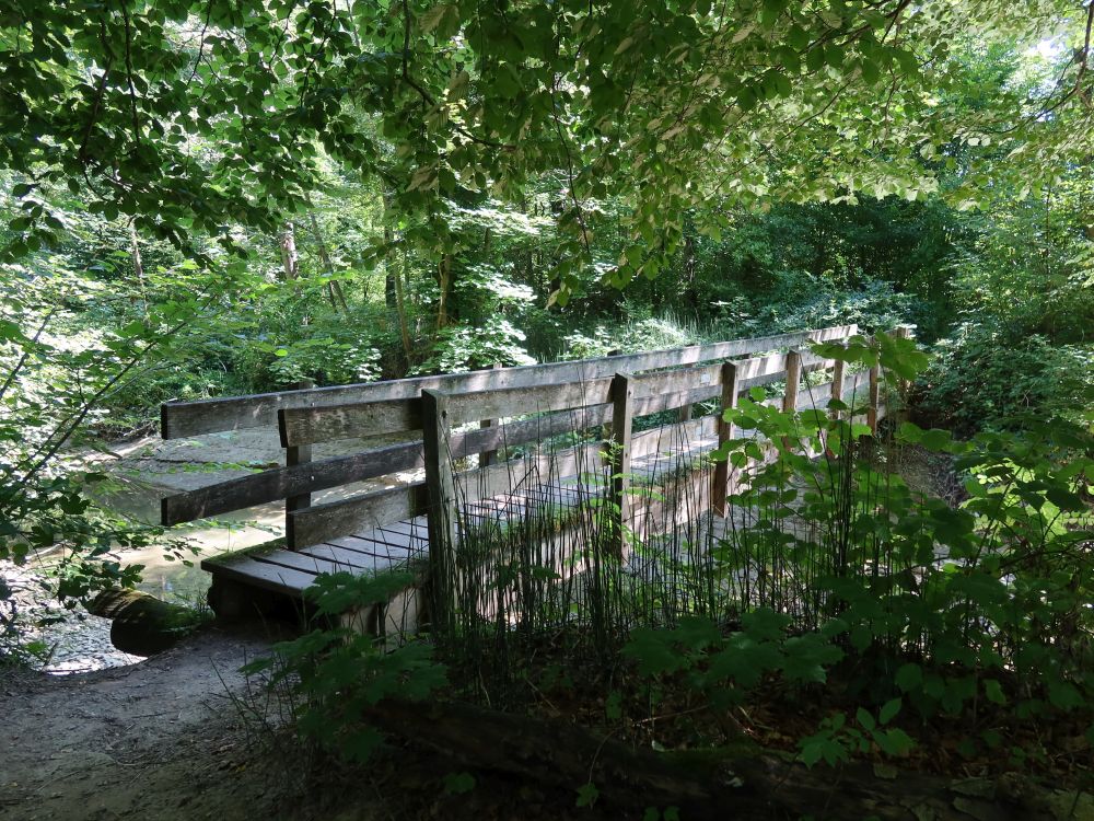 Steg zur grösseren Auschachen-Insel
