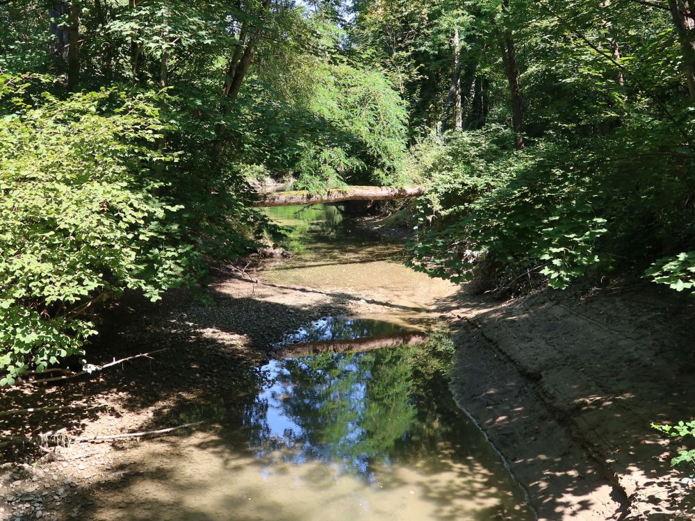 Seitenarm der Aare