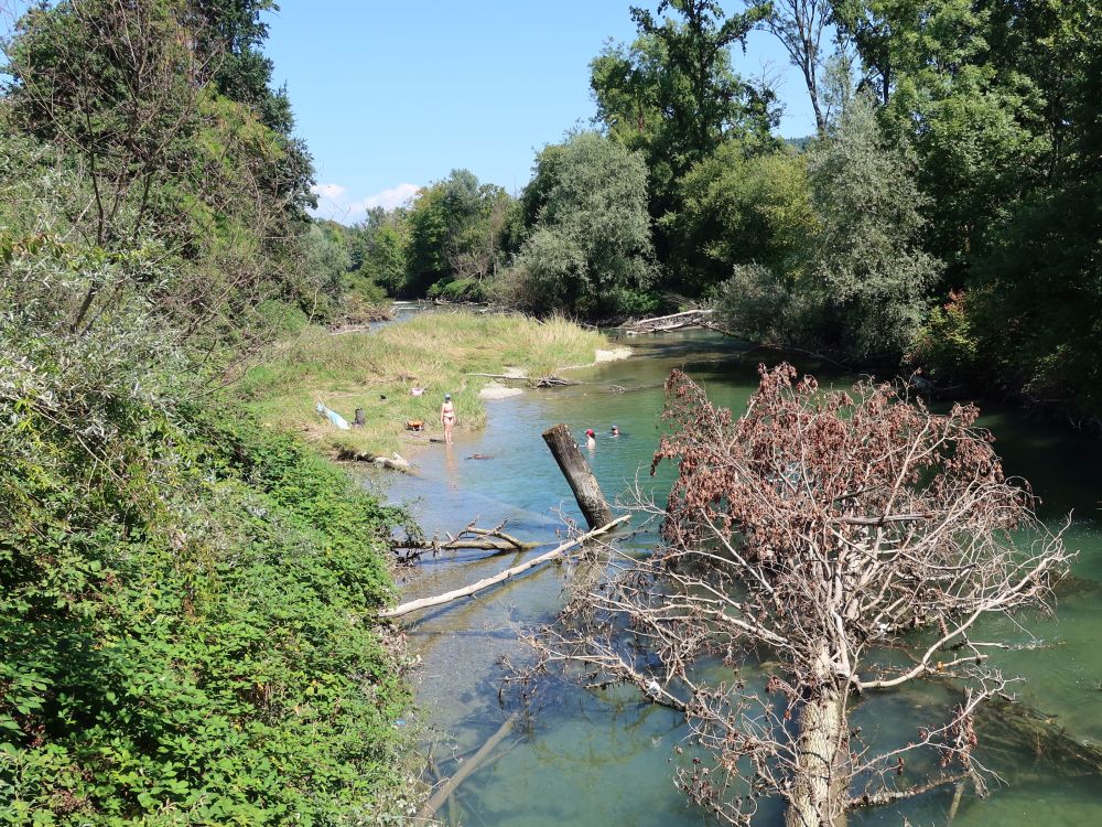 Seitenarm der Aare
