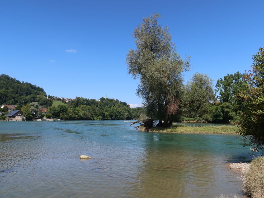 Limmatmündung