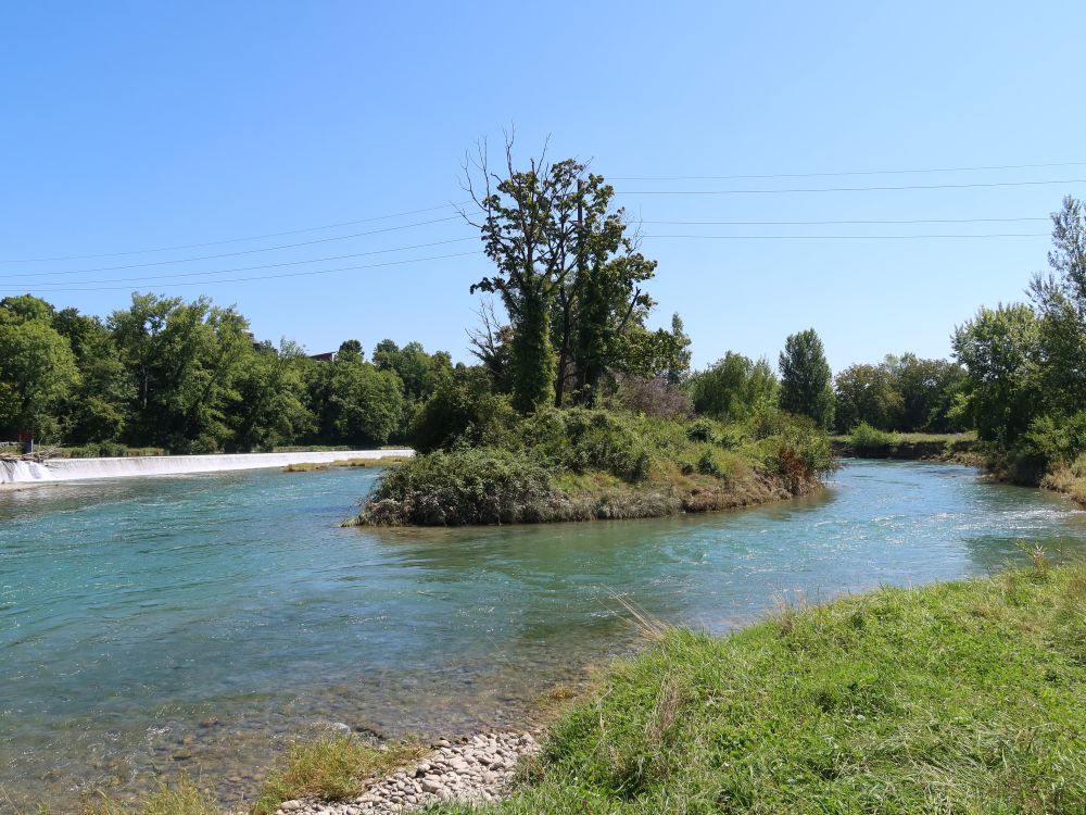 Inselchen in der Limmat