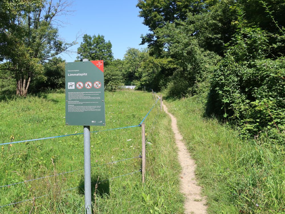 Pfad im Stroppel