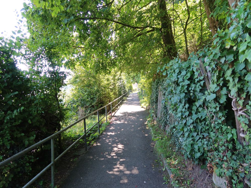 Adolf-Haller-Weg