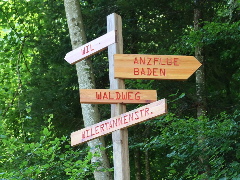 Wegweiser