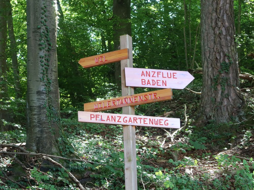 Wegweiser