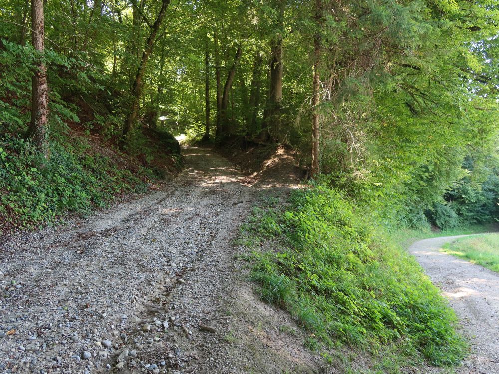 Waldweg