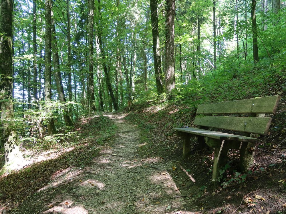 Sitzbank im Wald