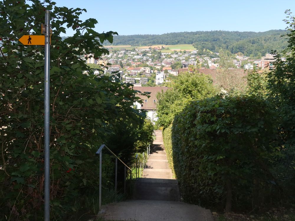 Treppe nach Schellenacker