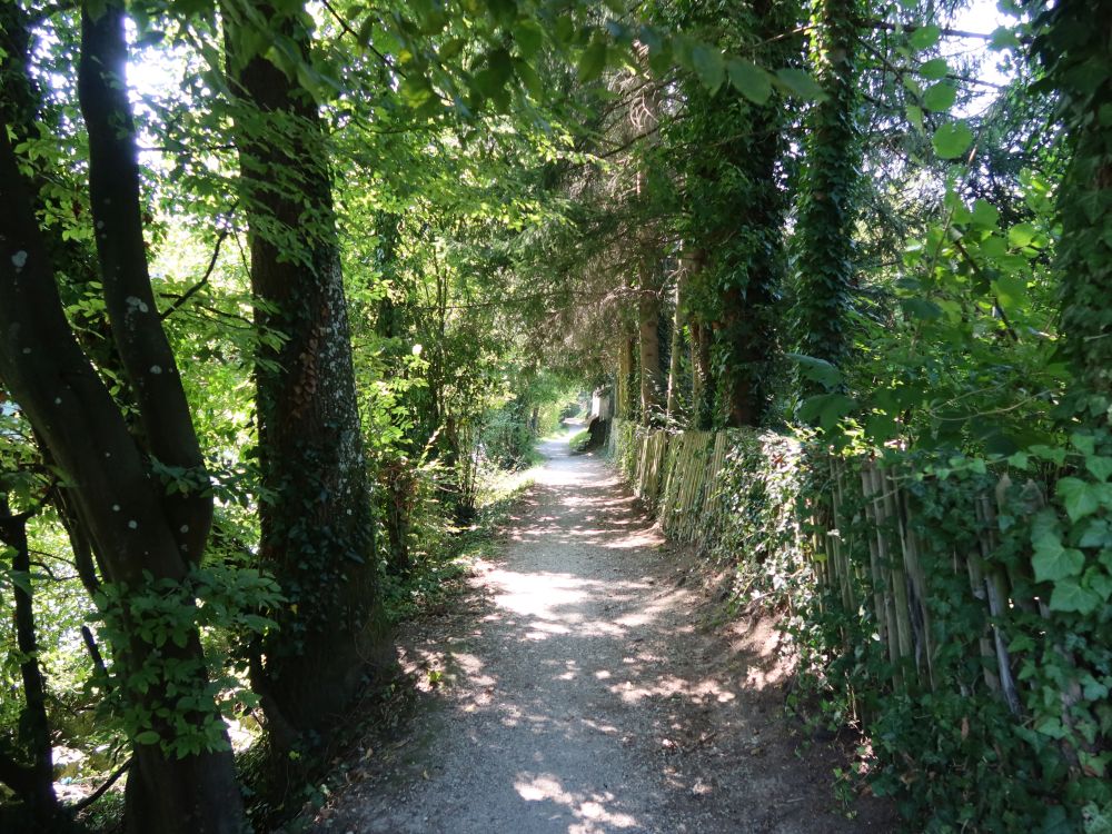 Limmat-Uferweg