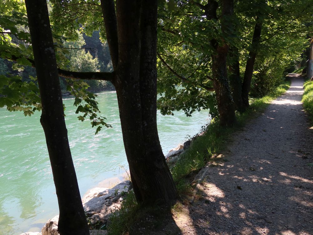 Limmat-Uferweg