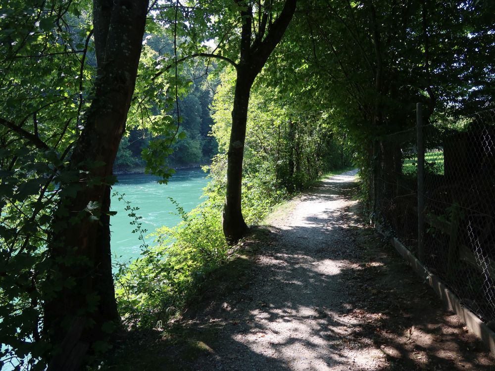 Limmat-Uferweg