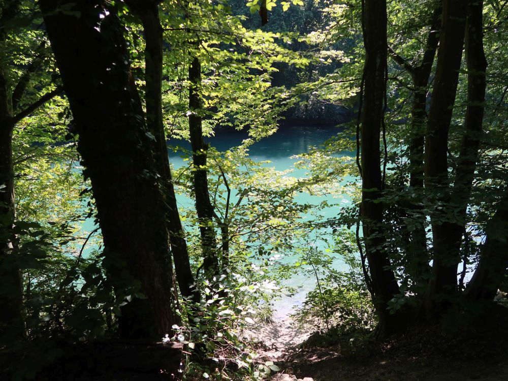 Limmat