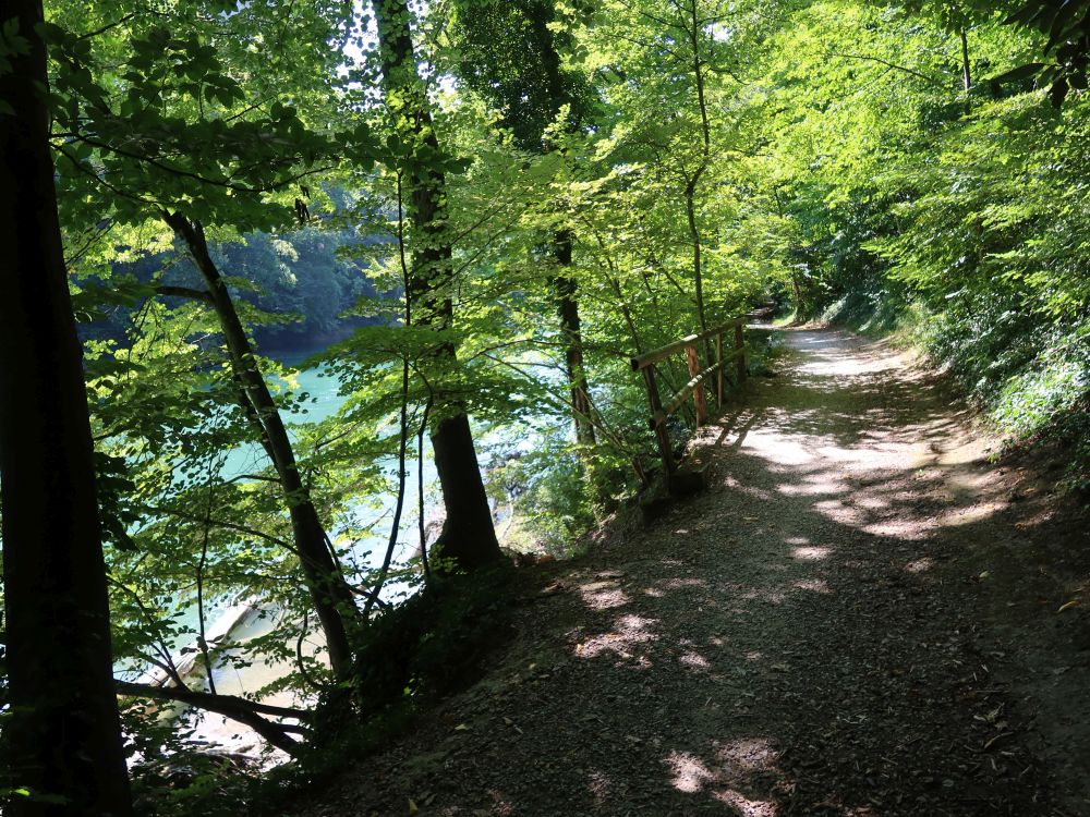 Limmat-Uferweg