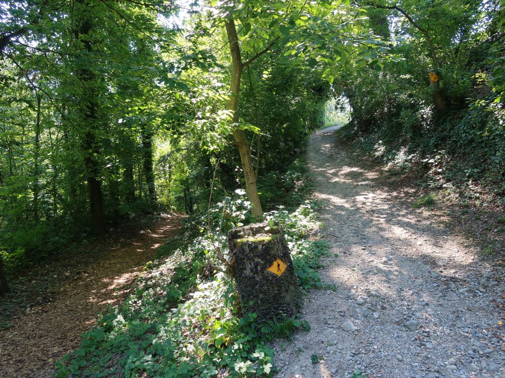 Wanderweg