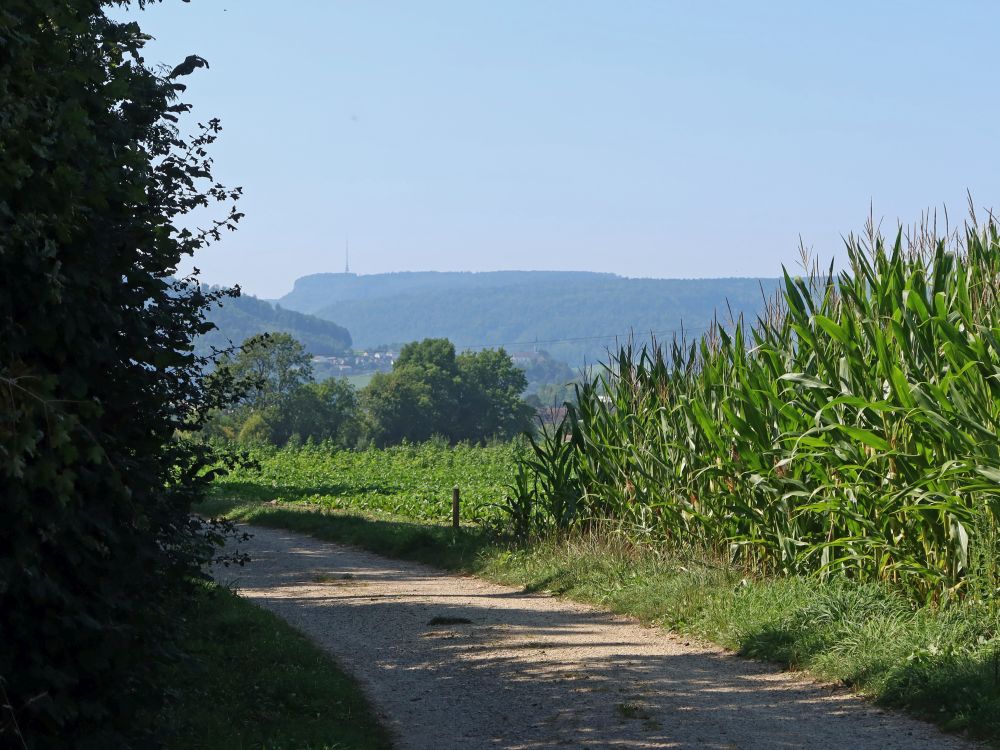 Blick Richtung Geissberg (Sendeturm)