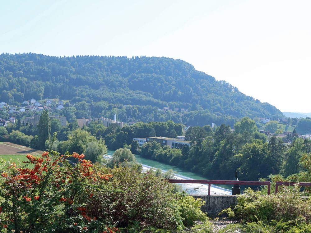 Blick vom Höhenweg über die Limmat zum Horn