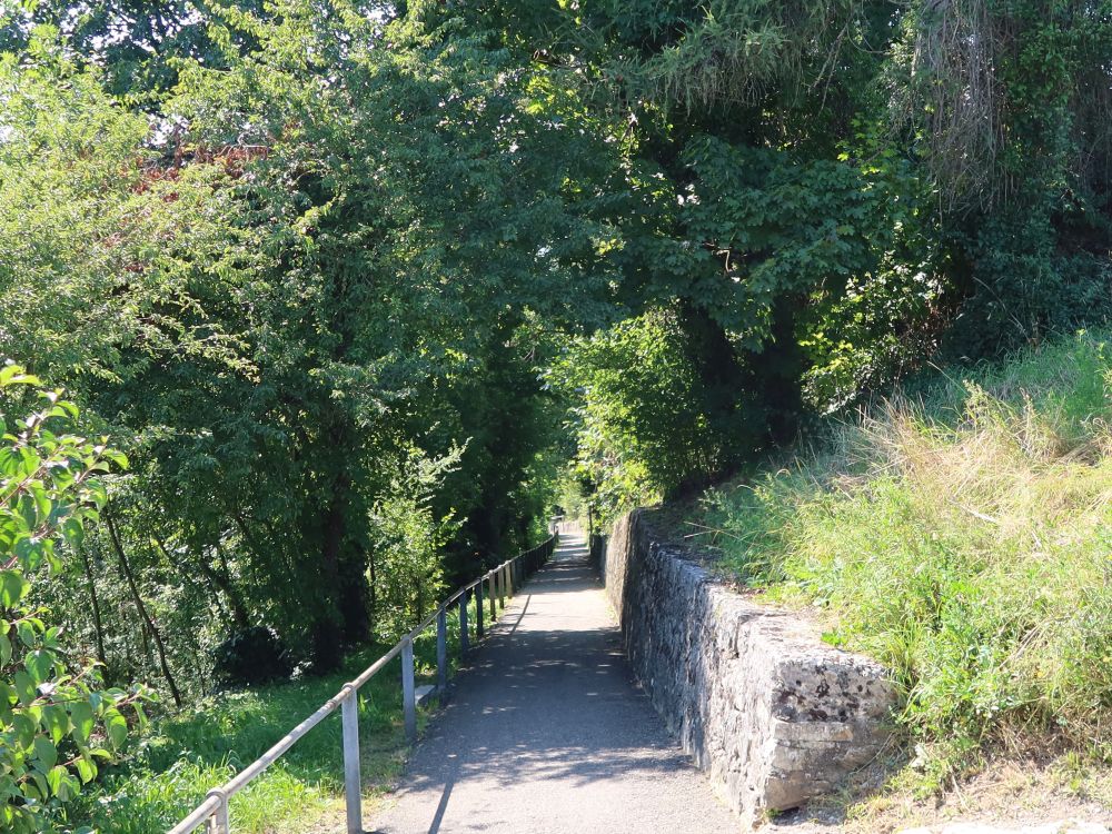 Limmatsteigstrasse