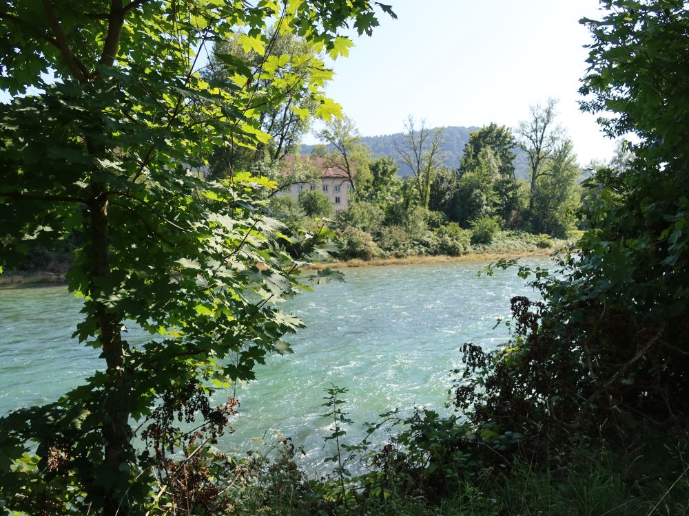 Limmat