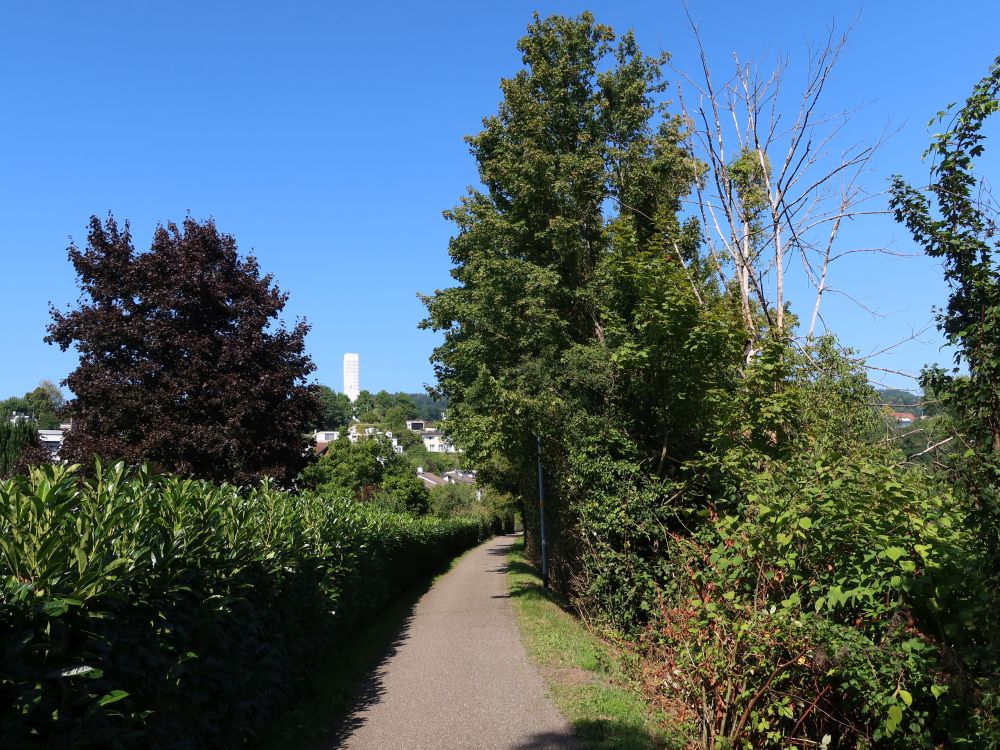 Limmatsteigstrasse