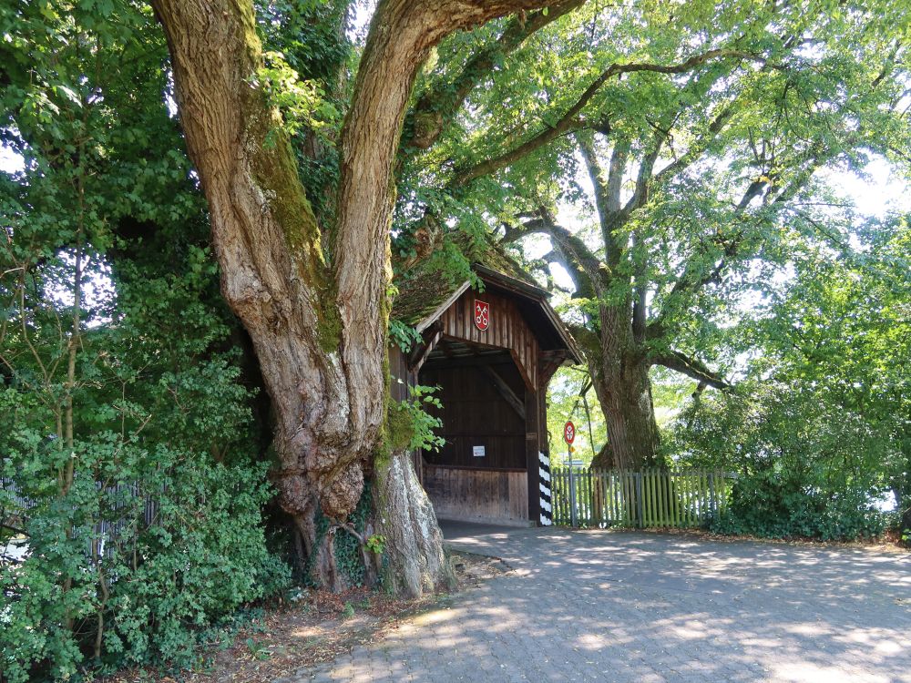 Ennetturgi Holzbrücke