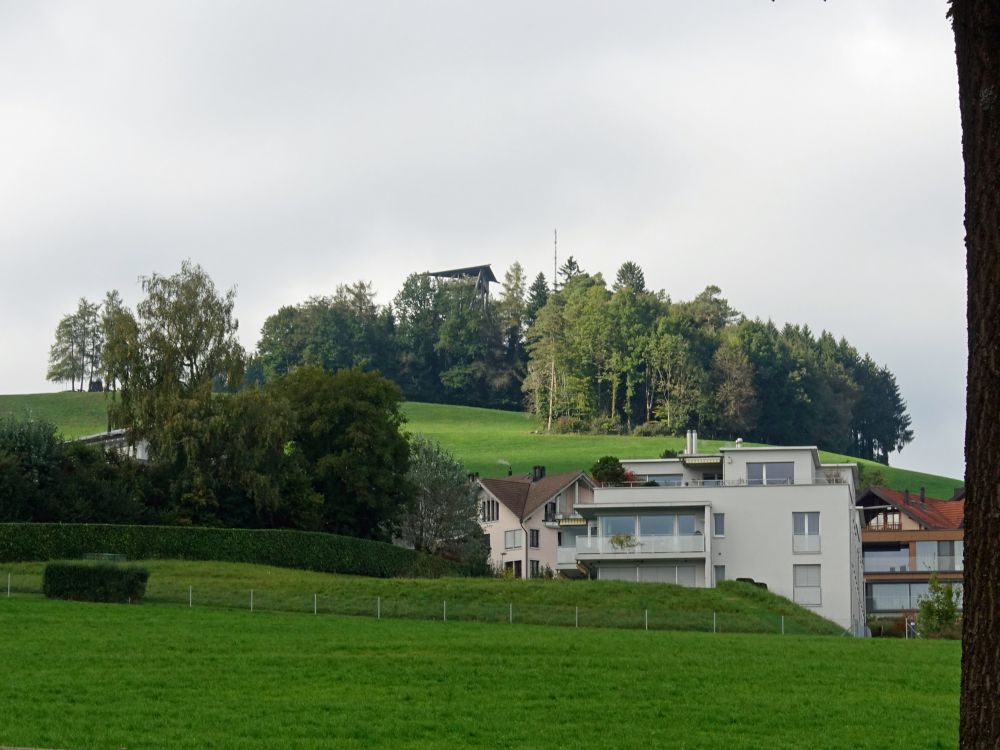 Blick zum Turm Hofberg