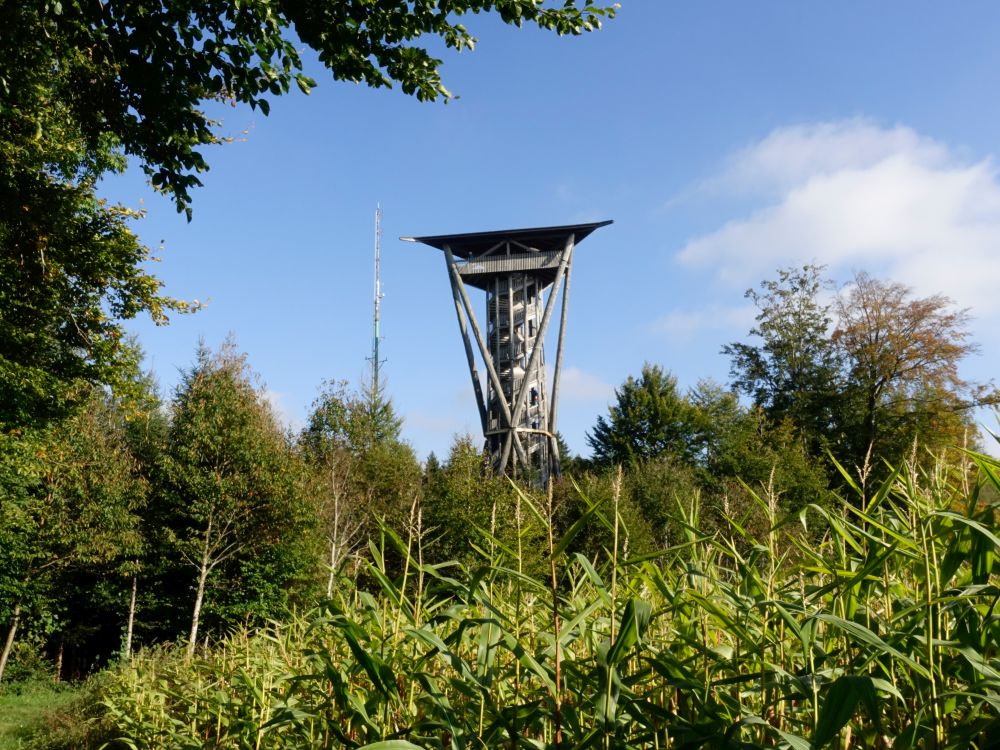 Turm Hofberg