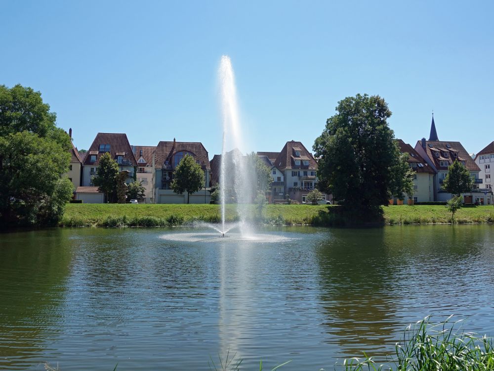 Fontaine in der Donau