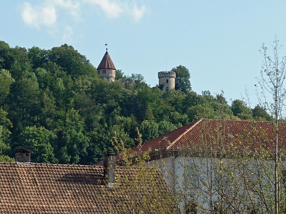 Burgruine Honberg