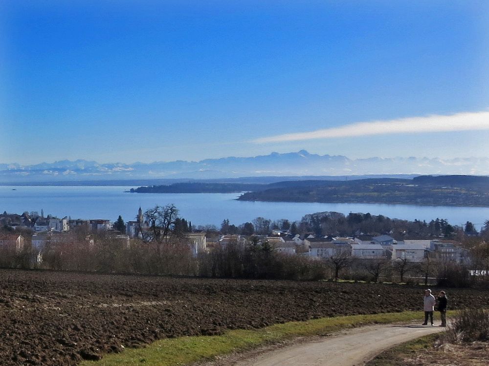 Blick von Aufkirch Richtung Säntis