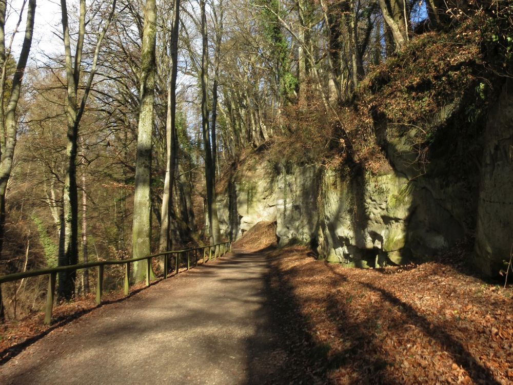 Pfad im Spetzgarter Tobel