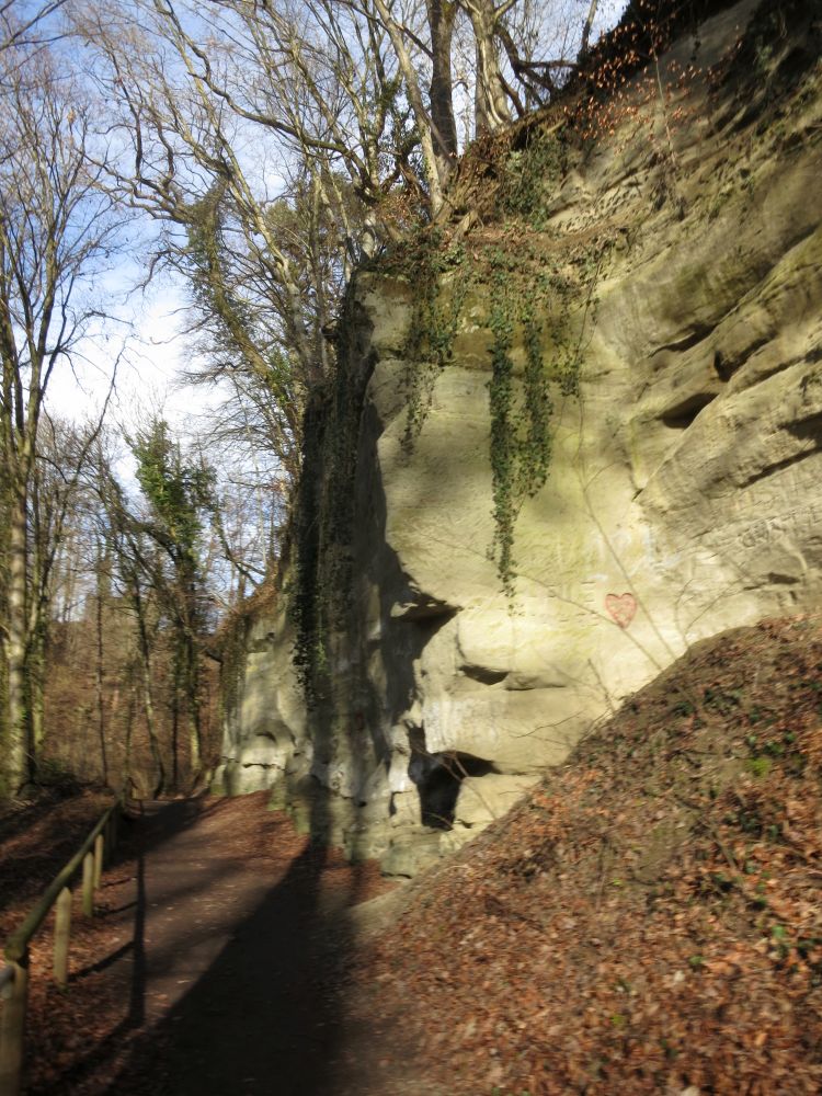 Sandsteinfels im Spetzgarter Tobel