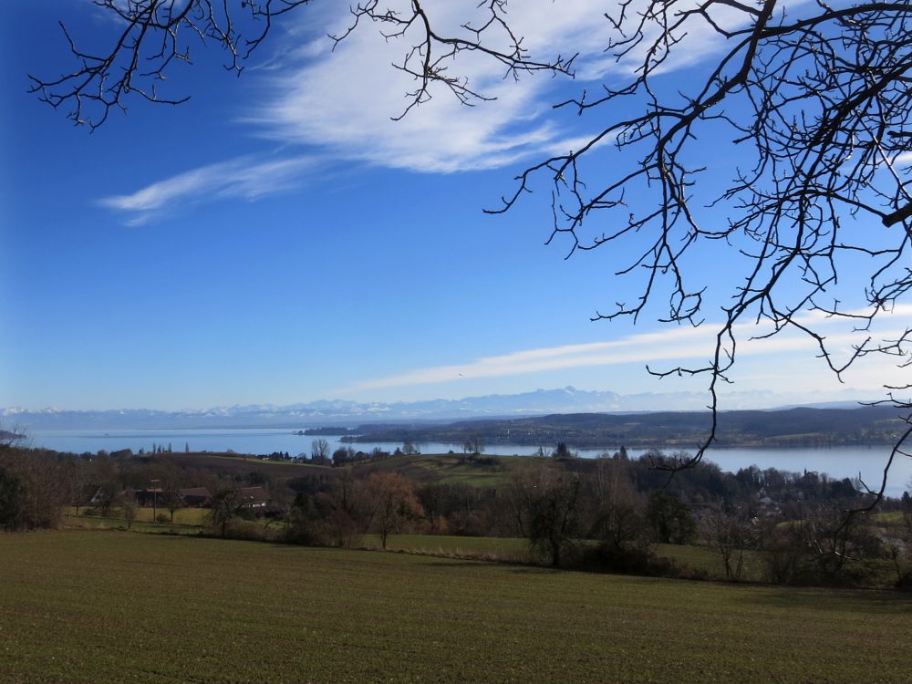 Blick zum Bodensee